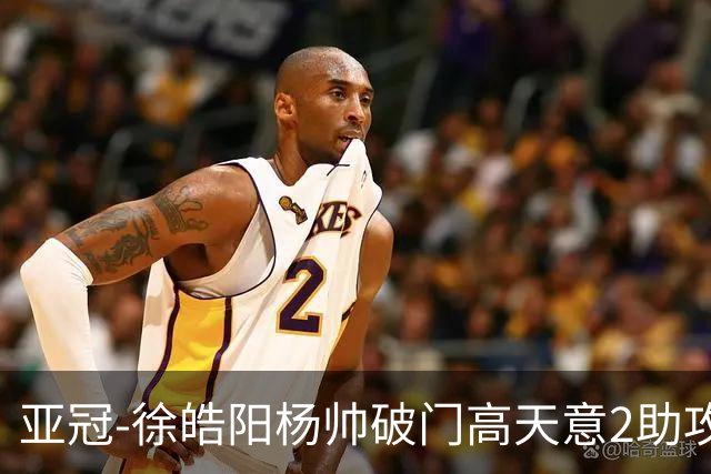 亚冠-徐皓阳杨帅破门高天意2助攻 申花2-1淡滨尼流浪者